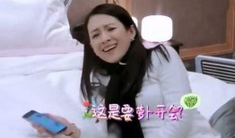 张嘉倪爆料谢娜视频