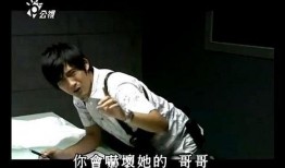 痞子英雄电视剧在线观看,热血街头，正义之战！